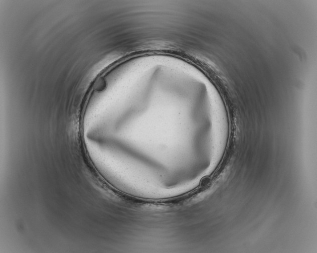 X0000113281073200910131000