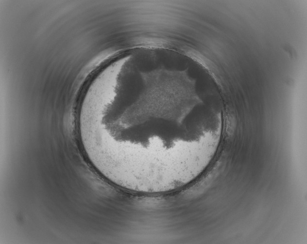 X0000113281074200910131000