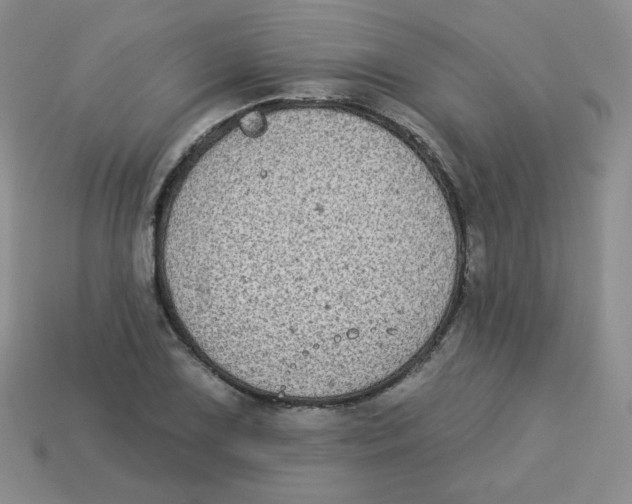 X0000113281075200910131000