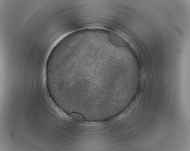 X0000113281076200910131000