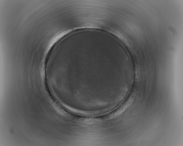 X0000113281077200910131000