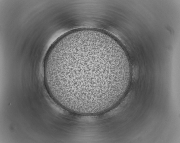 X0000113281078200910131000