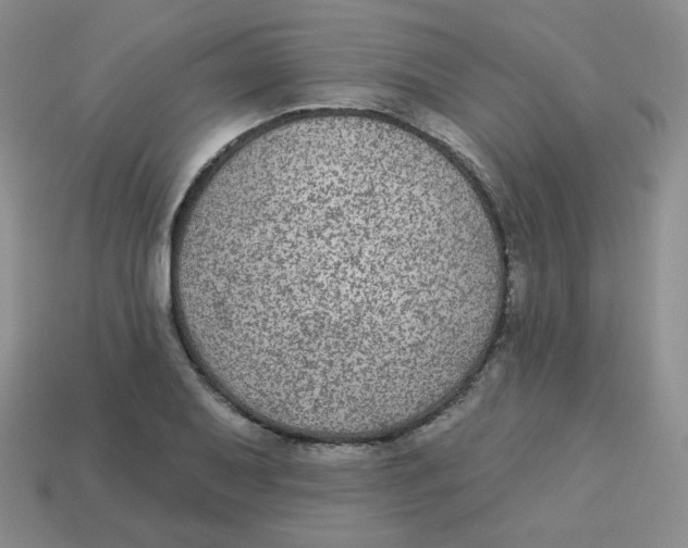 X0000113281079200910131000