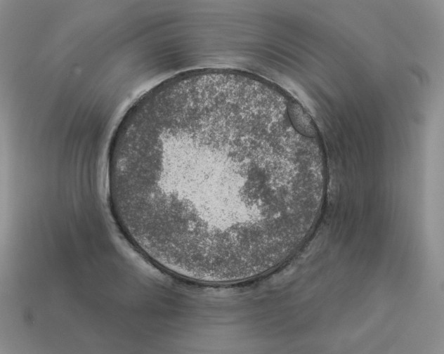X0000113281080200910131000