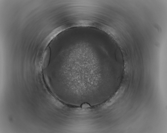 X0000113281081200910131000