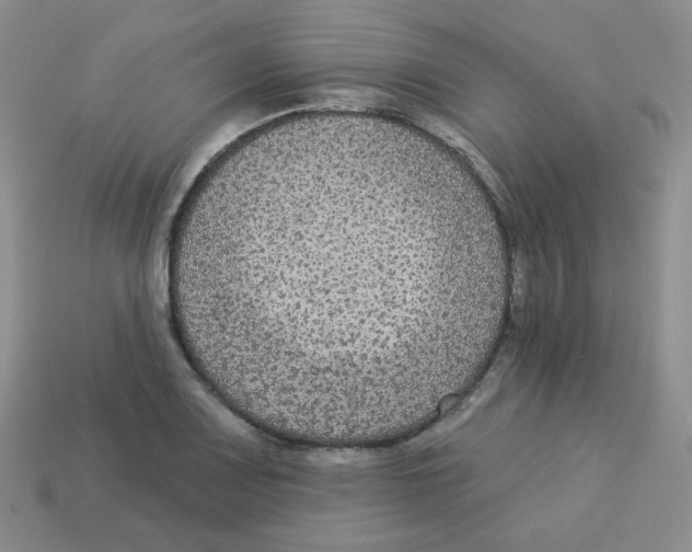 X0000113281083200910131000