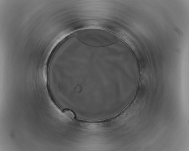 X0000113281084200910131000