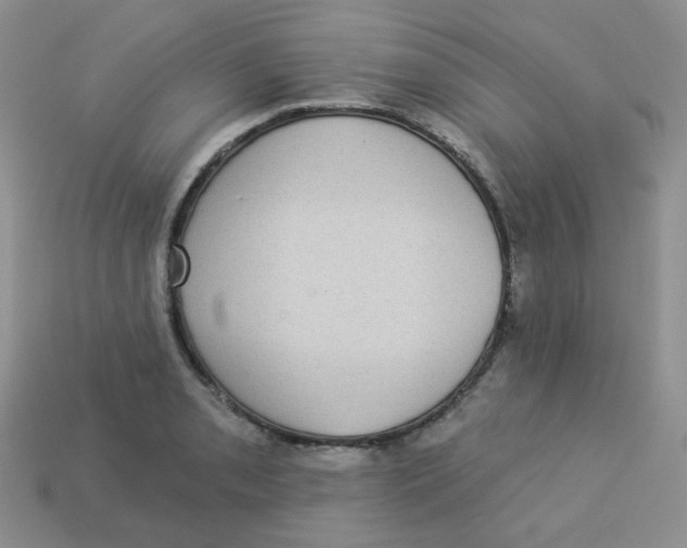 X0000113281085200910131000