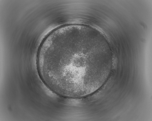 X0000113281086200910131000