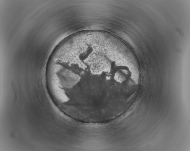 X0000113281087200910131000