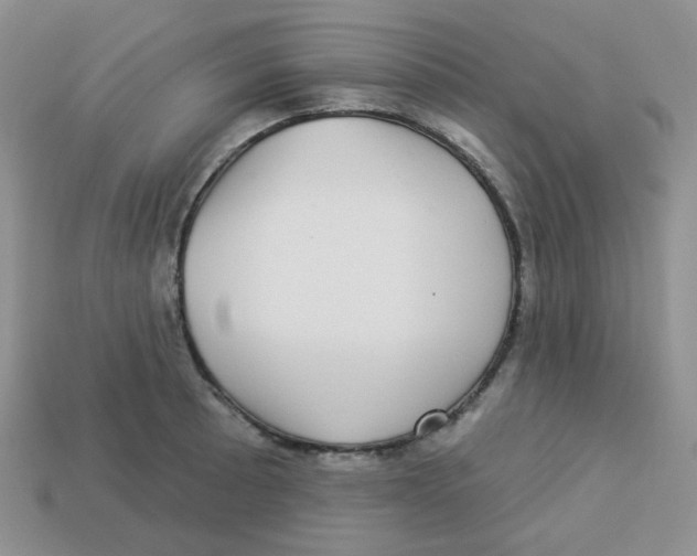 X0000113281089200910131000