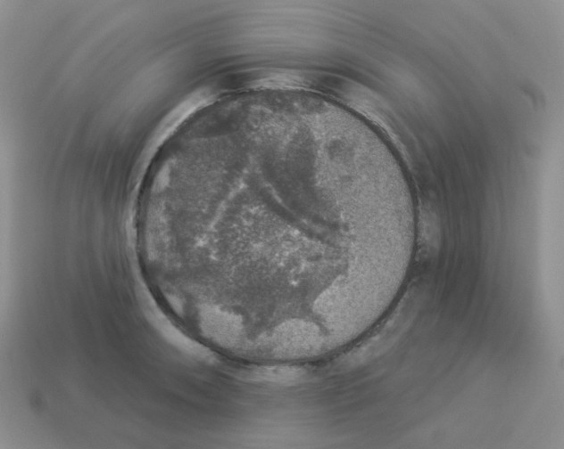 X0000113281090200910131000