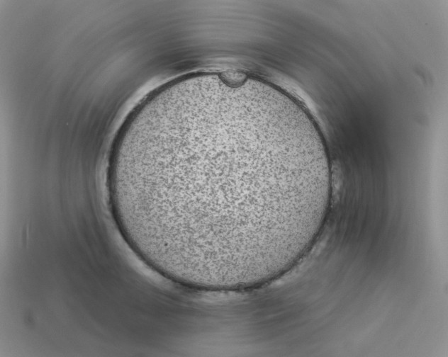 X0000113281091200910131000