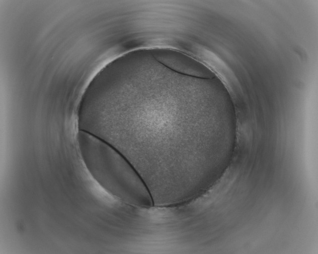 X0000113281092200910131000