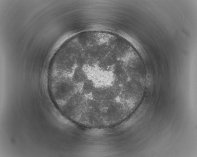 X0000113281094200910131000