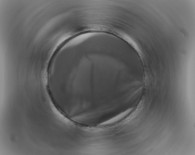 X0000113281095200910131000