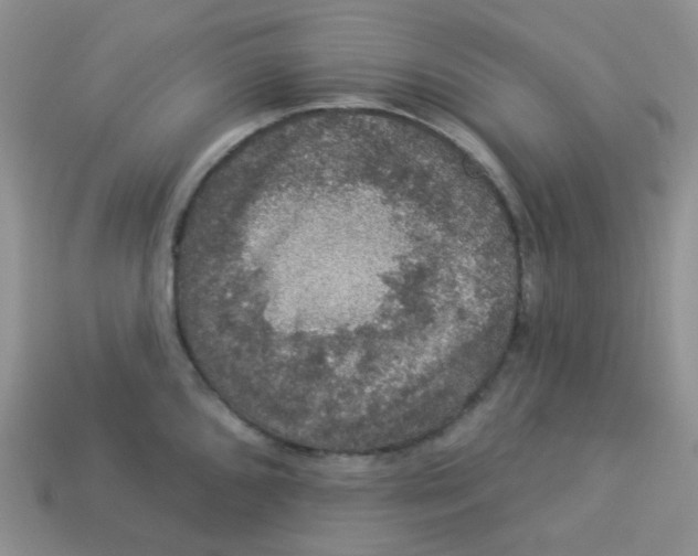 X0000113281096200910131000