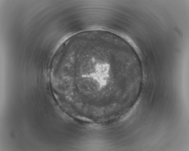 X0000113281097200910131000