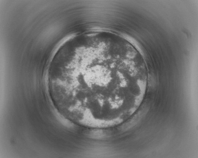 X0000113281098200910131000
