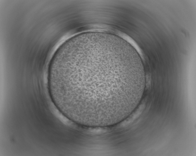 X0000113281099200910131000