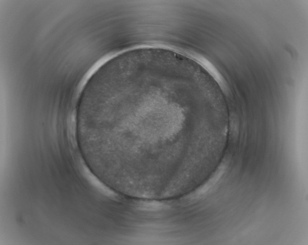X0000113281100200910131000
