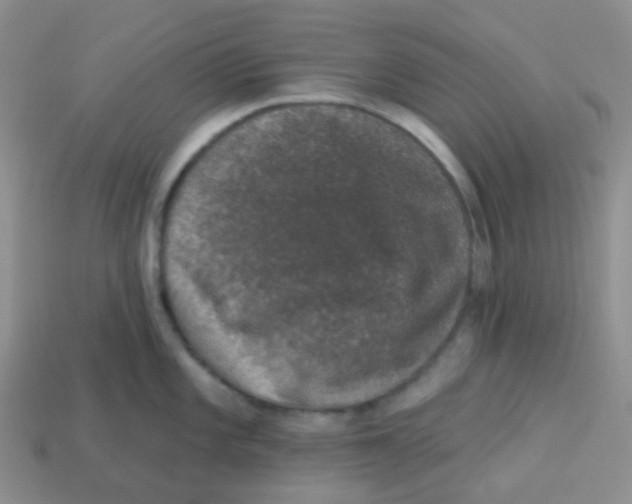 X0000113281101200910131000