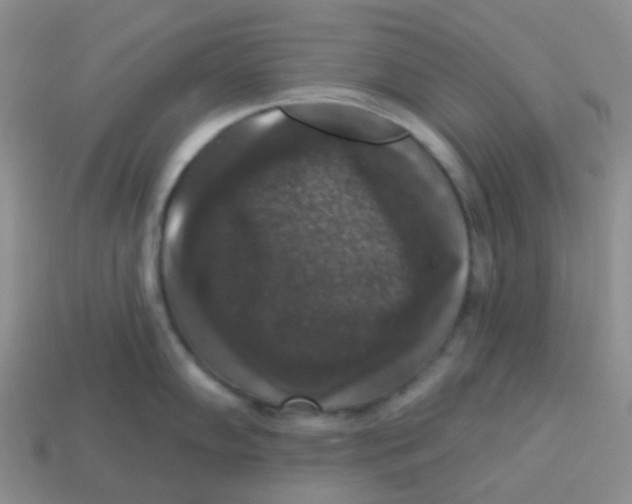 X0000113281102200910131000