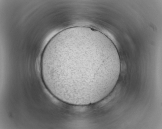 X0000113281103200910131000