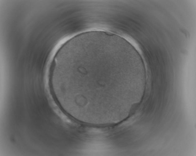 X0000113281104200910131000