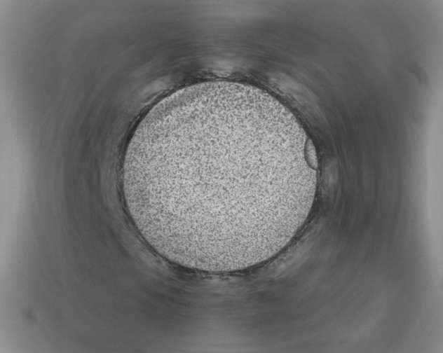 X0000113281105200910130959