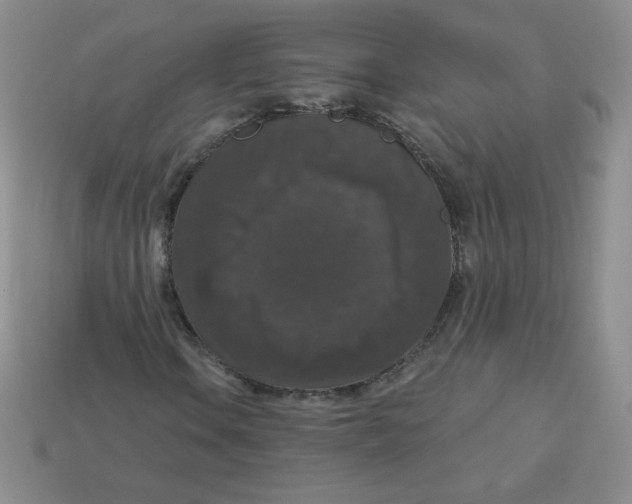 X0000113281106200910130959