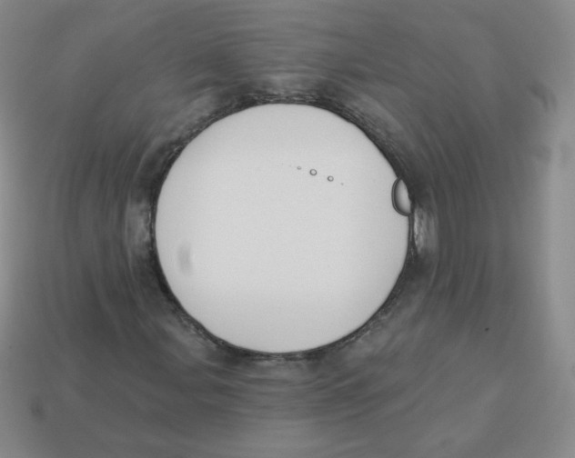 X0000113281107200910130959