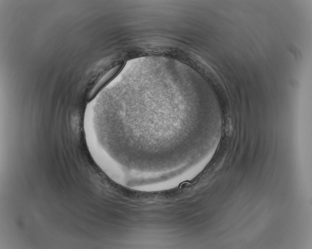 X0000113281108200910130959
