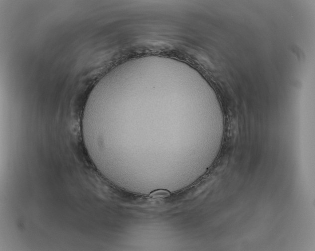X0000113281109200910130959
