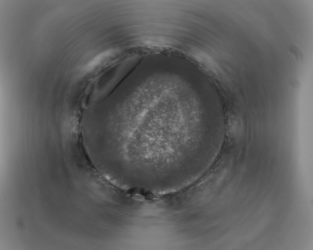 X0000113281110200910130959