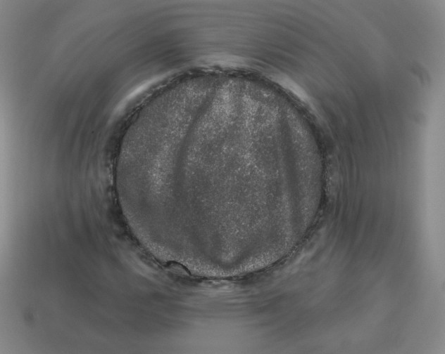 X0000113281112200910130959