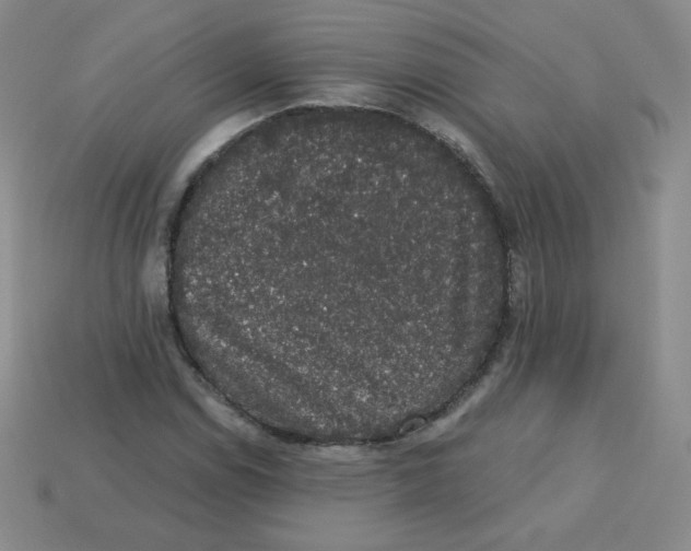 X0000113281114200910130959