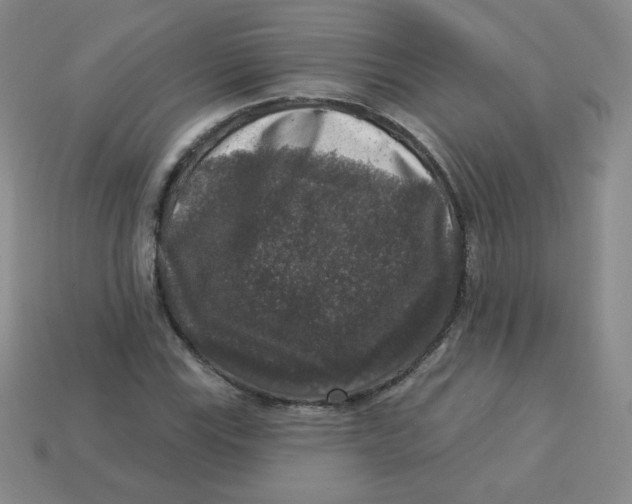 X0000113281115200910130959