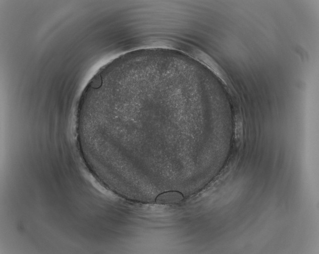 X0000113281116200910130959