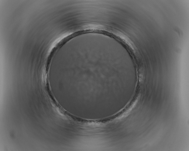 X0000113281117200910130959