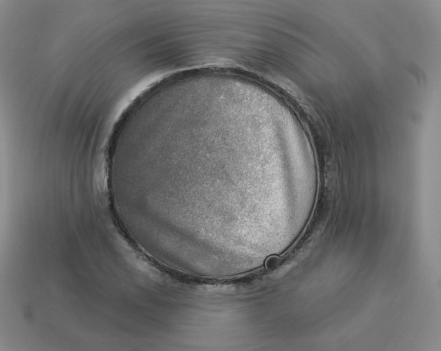 X0000113281118200910130959