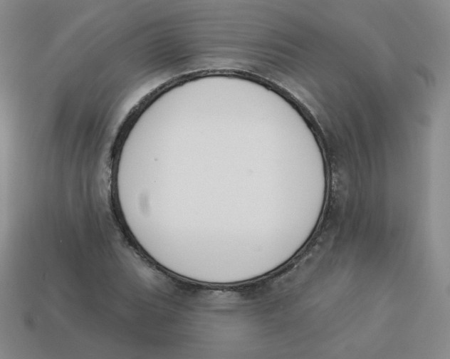 X0000113281119200910130959