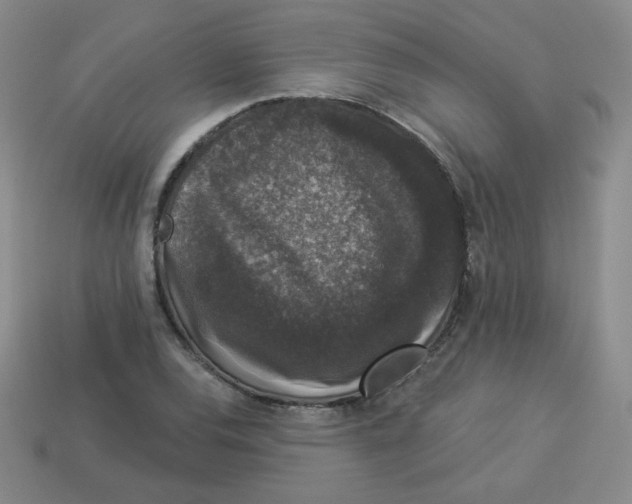 X0000113281120200910130959