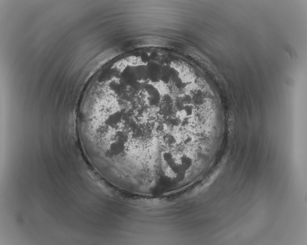 X0000113281121200910130959