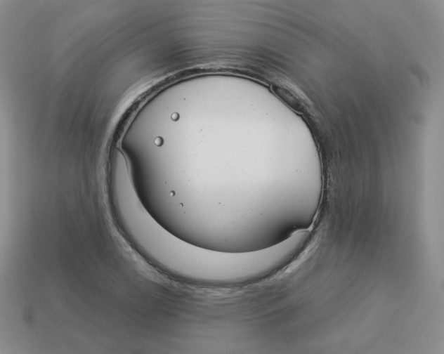 X0000113281122200910130959