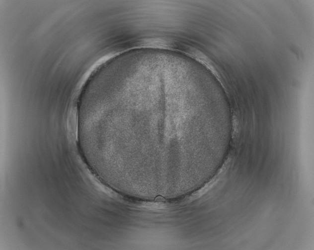 X0000113281123200910130959