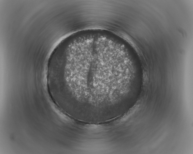 X0000113281124200910130959