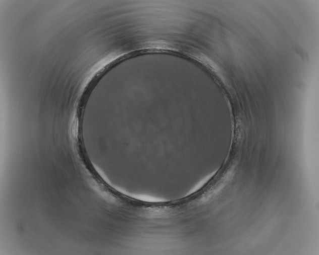 X0000113281125200910130959