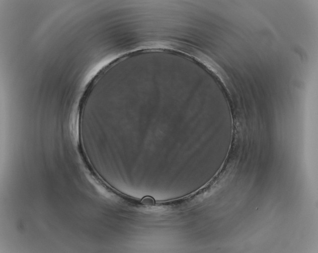 X0000113281127200910130959