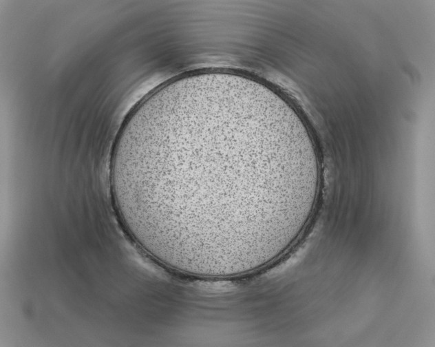 X0000113281129200910130959